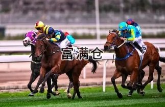 國際頂級馬術俱樂部將落戶于臨港新片區(qū)