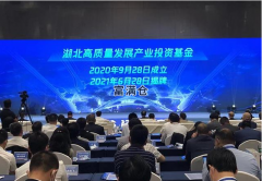 喜報！湖北首批意向簽約12個項目金額突破20億
