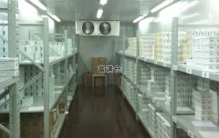 我國藥品冷鏈物流存在哪些問題