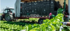 冷鏈供應鏈該如何打造