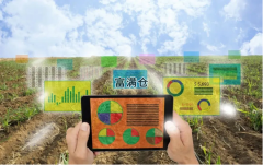 未來10年:農(nóng)產(chǎn)品電商必將成為鄉(xiāng)村振興重要工具