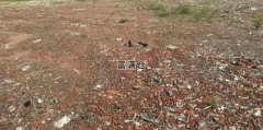 奉賢區43畝獨門獨院工業土地適合各種堆放停車
