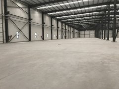 奉賢區臨港新片區9800平方米層高11米鋼結構廠房