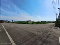 浦東臨港80畝水泥地可走正面吊適合集裝箱運輸