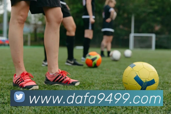 大发彩票服务体系